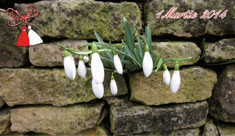 Felicitare AGIRo web