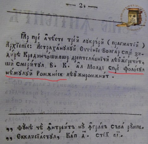 1831 funie-sau-franghie-intreita